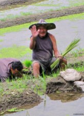 Worker @Bali east rice terraces