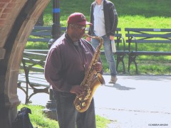 Music in Central Park, NY