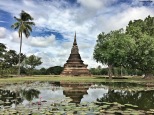 Wat Mahathat ninfee