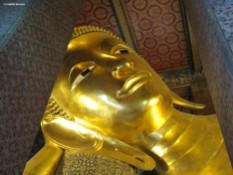 Il Buddha del Wat Pho. Bangkok, Cabiria Magni